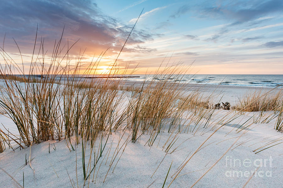 Beach grass on dune, Baltic sea at sunset #5 Photograph by Michal Bednarek