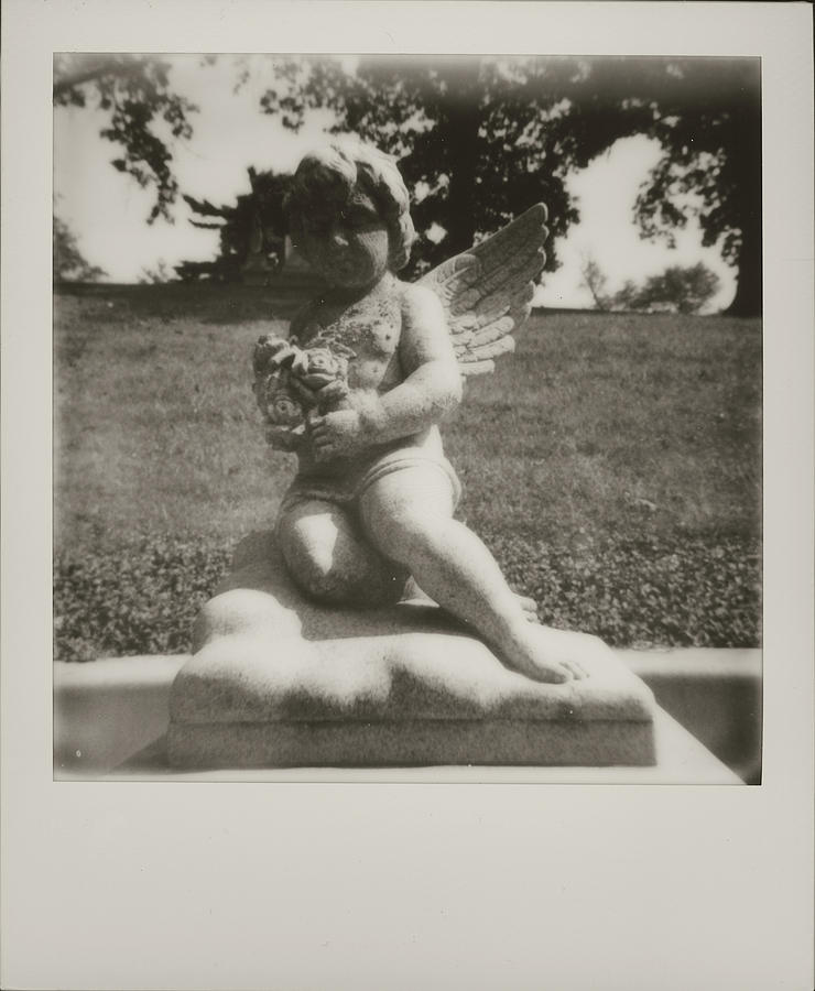 Black and White Polaroid 600 Spring Grove Cemetery Cincinnati Ohio by Dave Morgan Black and White Polaroid 600 Spring Grove Cemetery Cincinnati Ohio by Dave Morgan
