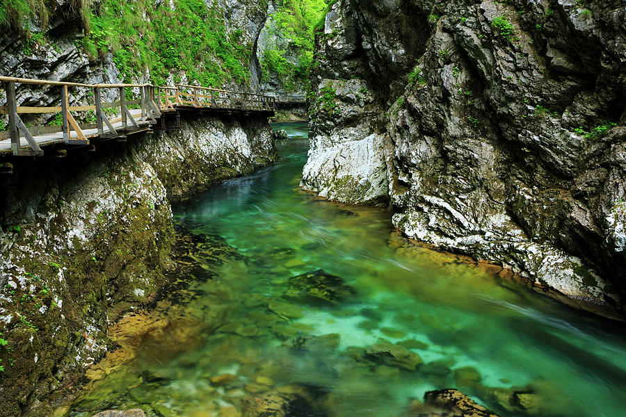 Blejski Vintgar gorge, Gorje, near Bled, Slovenia #5 Photograph by Ian Middleton