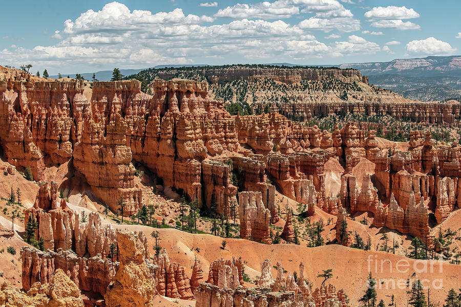 Bryce Canyon National Park  #5 Photograph by David Oppenheimer