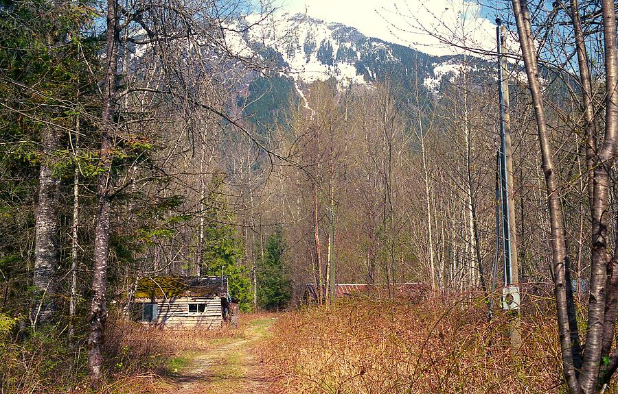Cabin in the Woods Near Hope BC #5 Photograph by Lawrence Christopher