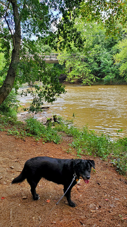 Cahaba River Walk Park #5 Photograph by Kenny Glover