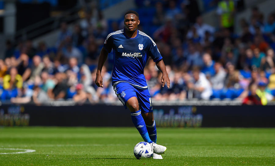 Cardiff City v Fulham - Sky Bet Championship #5 Photograph by Stu Forster