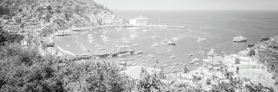 Catalina Island Avalon Bay Black and White Picture  #5 Photograph by Paul Velgos