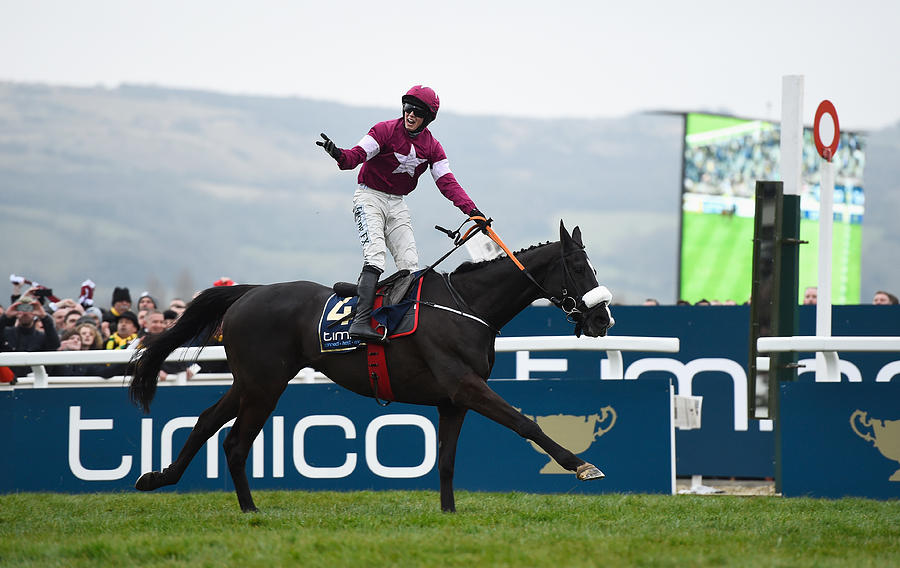 Cheltenham Festival - Gold Cup Day #5 Photograph by Mike Hewitt