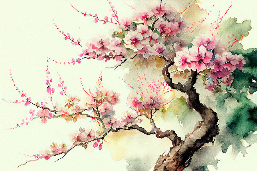 Cherry Blossom Watercolour Digital Art by Tim Hill - Fine Art America