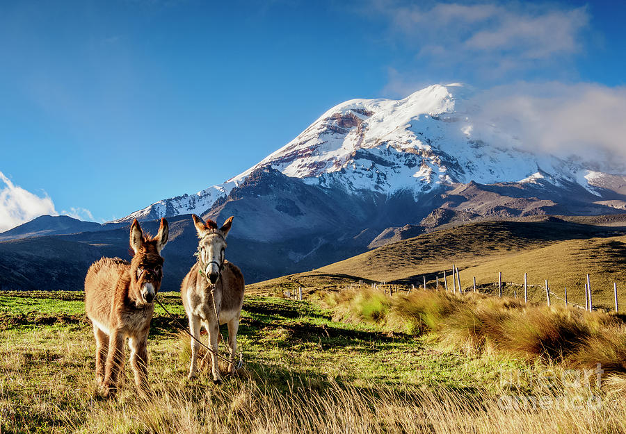 Mountain Photograph - Chimborazo Volcano, Ecuador #5 by Karol Kozlowski