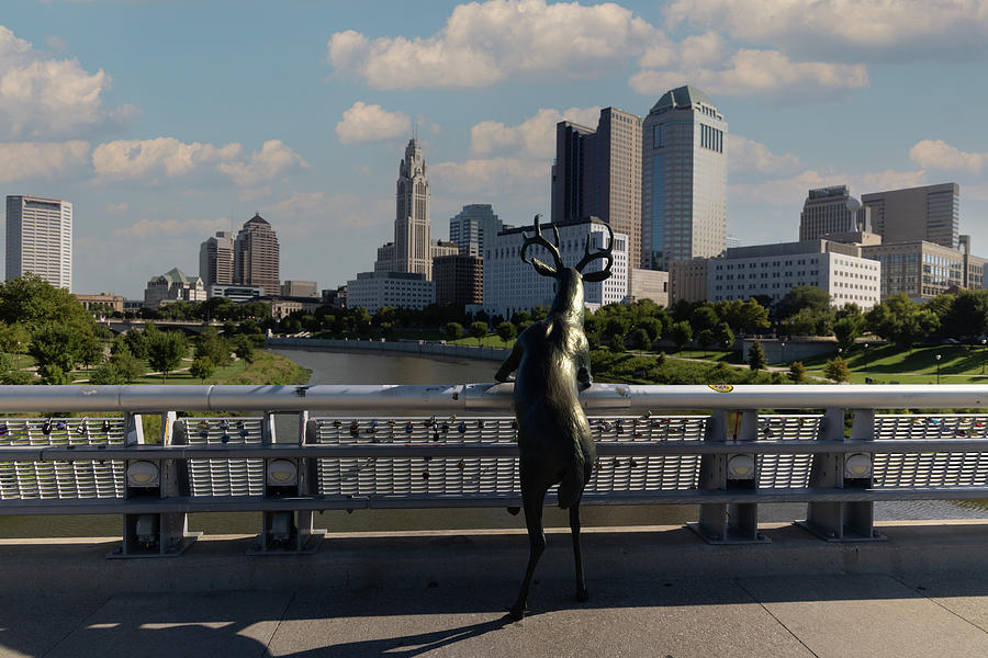 Columbus Ohio skyline #5 Photograph by Eldon McGraw