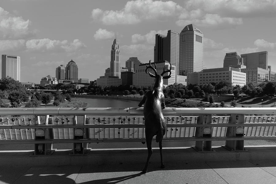 Columbus Ohio skyline in black and white #5 Photograph by Eldon McGraw