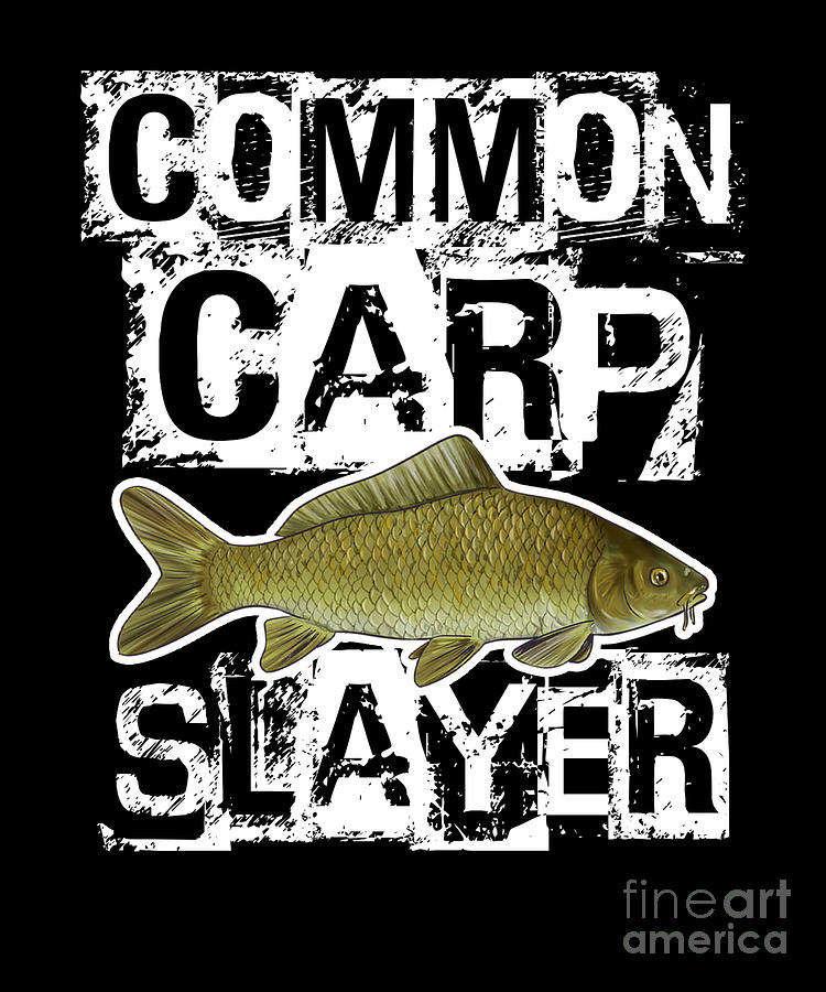 Common Carp Fishing Bait Lure Freshwater Fish Gift #5 Digital Art
