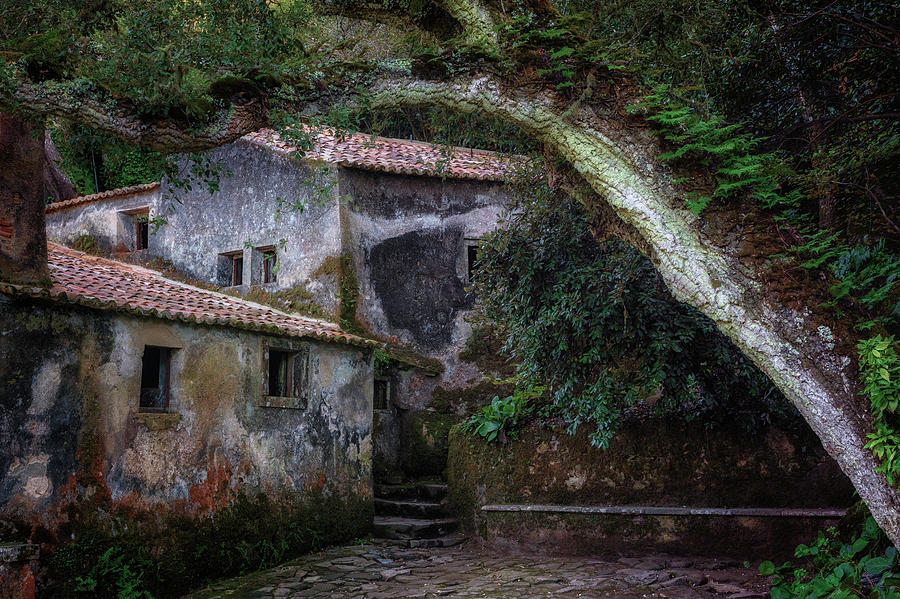 Convent of the Capuchos - Portugal #5 Photograph by Joana Kruse