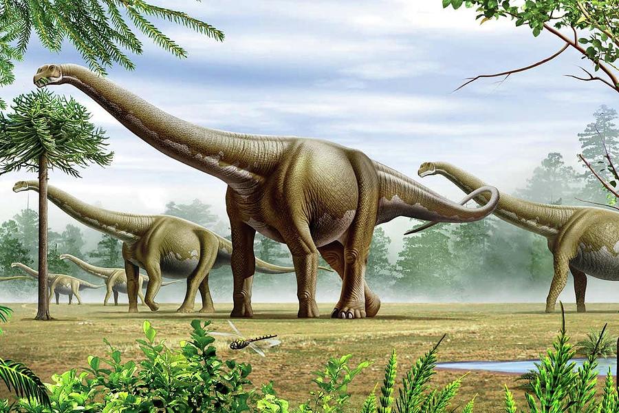 Dinosaur Came In A Diverse Group Look Of Reptiles On The Earth Between ...