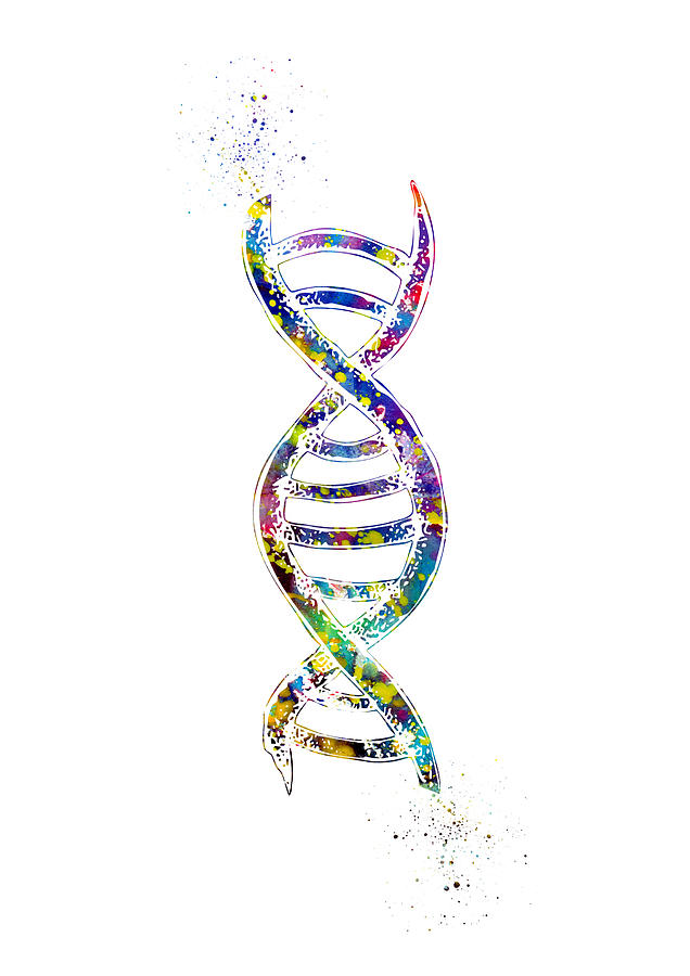 DNA Double Helix Digital Art By Erzebet S - Fine Art America