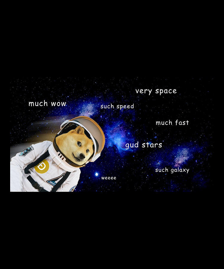 dogecoin quotation