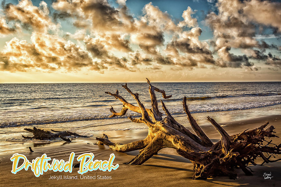 Driftwood Beach Jekyll Island Photograph by Gestalt Imagery - Fine Art