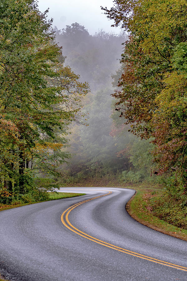Early Morning Foggy Autumn Roads On Blue Ridge Parkway Near Ashe #5 Photograph by Alex Grichenko