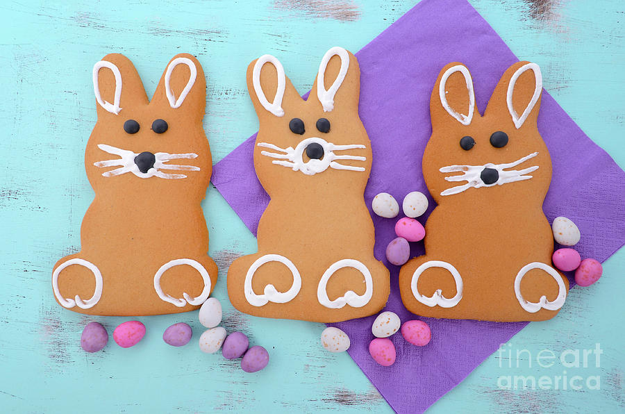 Easter bunny gingerbread cookies #5 Photograph by Milleflore Images