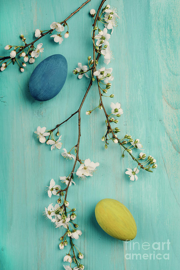 Easter Eggs #5 Photograph by Jelena Jovanovic