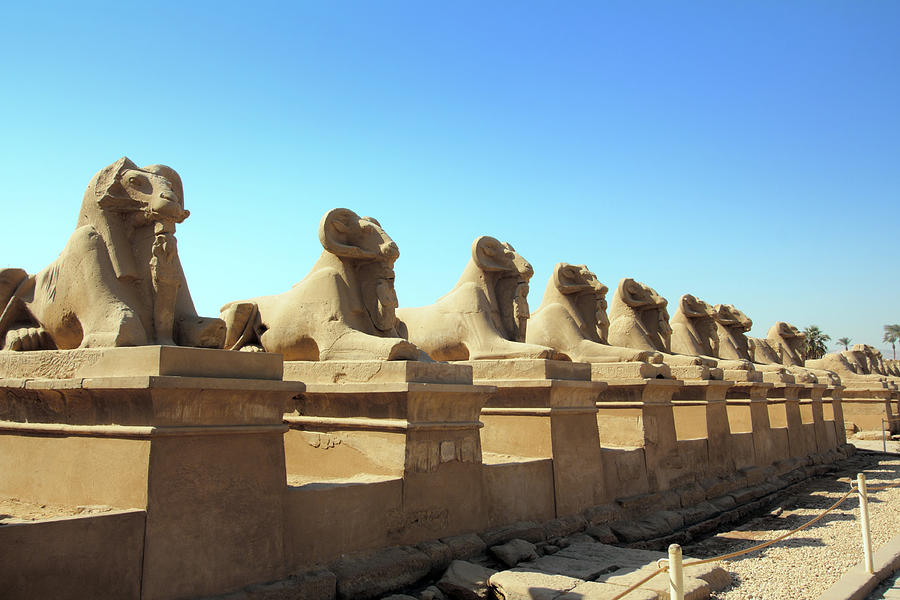 Egypt Statues Of Sphinx In Karnak Temple #5 Photograph by Mikhail Kokhanchikov