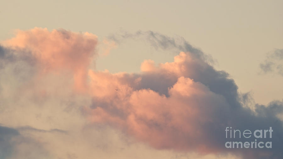 Sunset Photograph - Evening clouds images #5 by Elena Kuznetsova