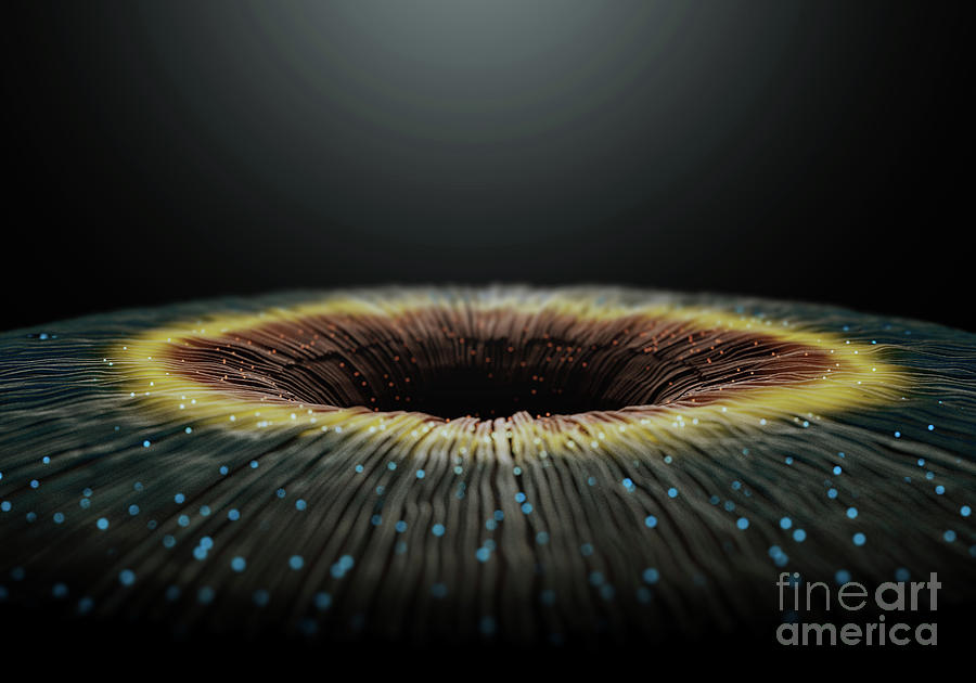 Iris Digital Art - Eye Iris Microscopic #5 by Allan Swart