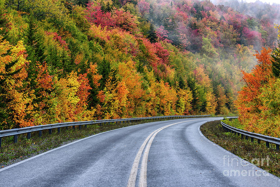 Fall Color Highland Scenic Highway Photograph