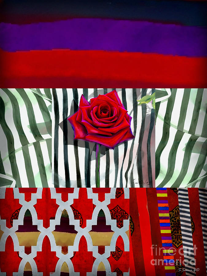 Rosy Stripes Mixed Media by Seema Z