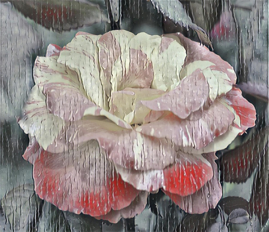 Flowers Digital Art By Kassie Dunmore Fine Art America 