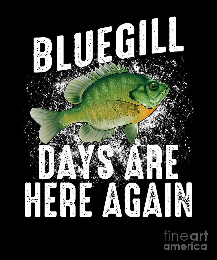 Funny Longear Sunfish Freshwater Fish Lake Gift #6 iPhone 14 Case