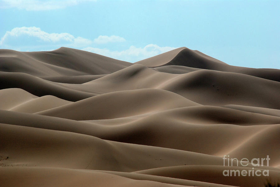 Gobi desert #5 Photograph by Elbegzaya Lkhagvasuren