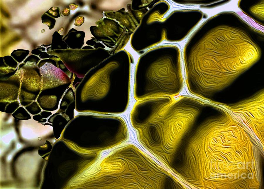 Golden Turtle 3 Digital Art by Aldane Wynter
