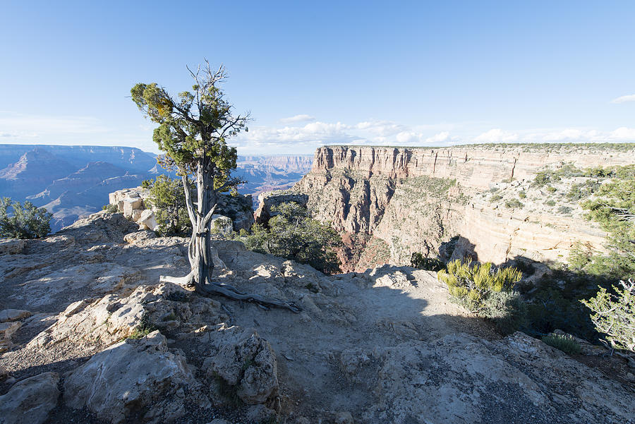 Grand Canyon National Park #5 Photograph by Tobiasjo