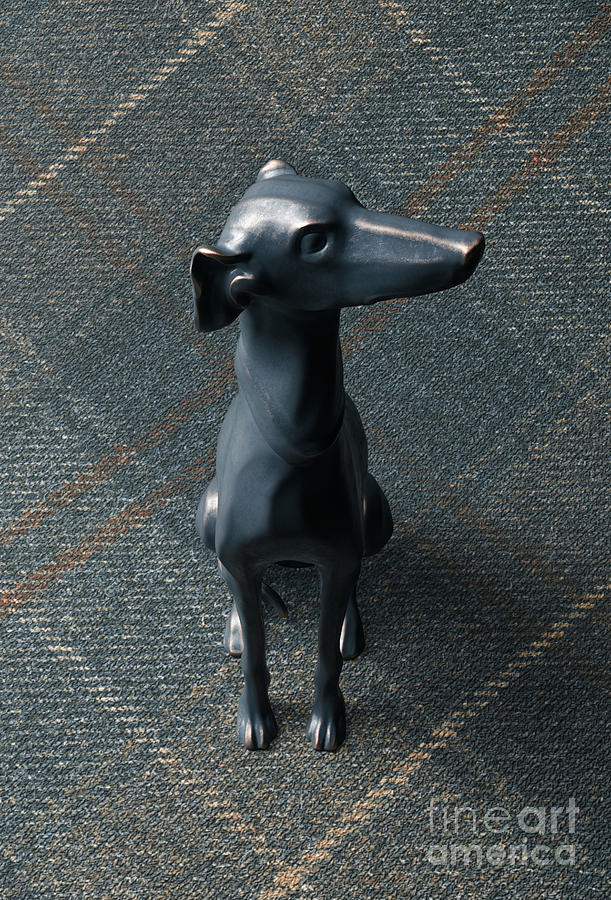 Dog Digital Art - Greyhound Sculpture Tweed Background #5 by Allan Swart