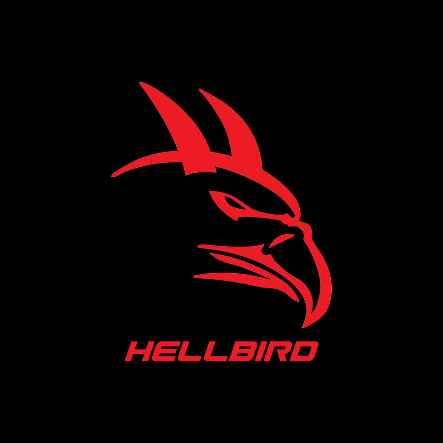 HELLBIRD ROAD RUNNER SUPERBIRD Muscle Sport Car Digital Art by Ahsan ...