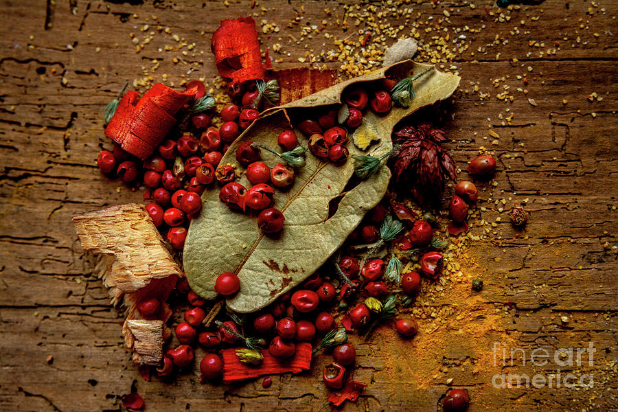 Christmas Photograph - High angle shot of spicy ingredients on a wooden table background #5 by Bernard Jaubert