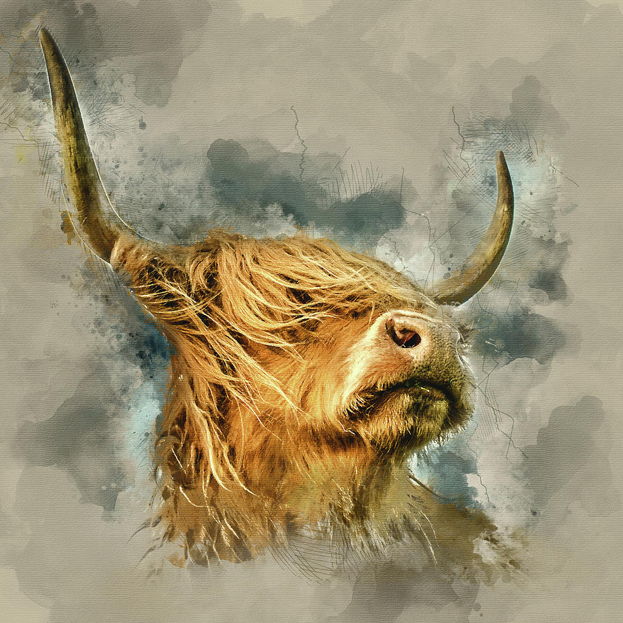 Highland Cow Canvas Art by Mark Gemmell