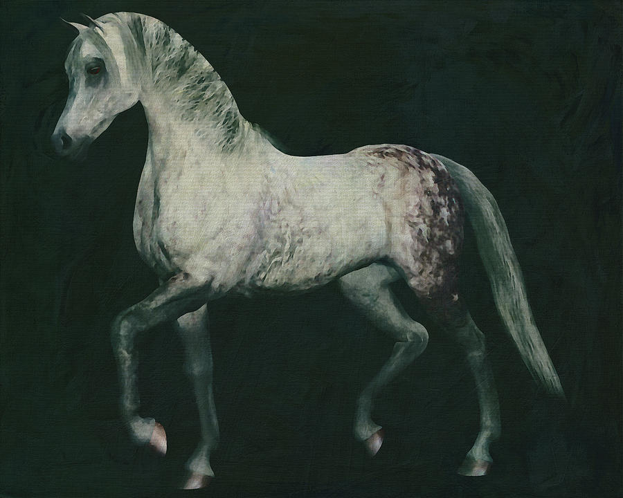 Horses -White horse doing dressage exercise #5 Painting by Jan Keteleer