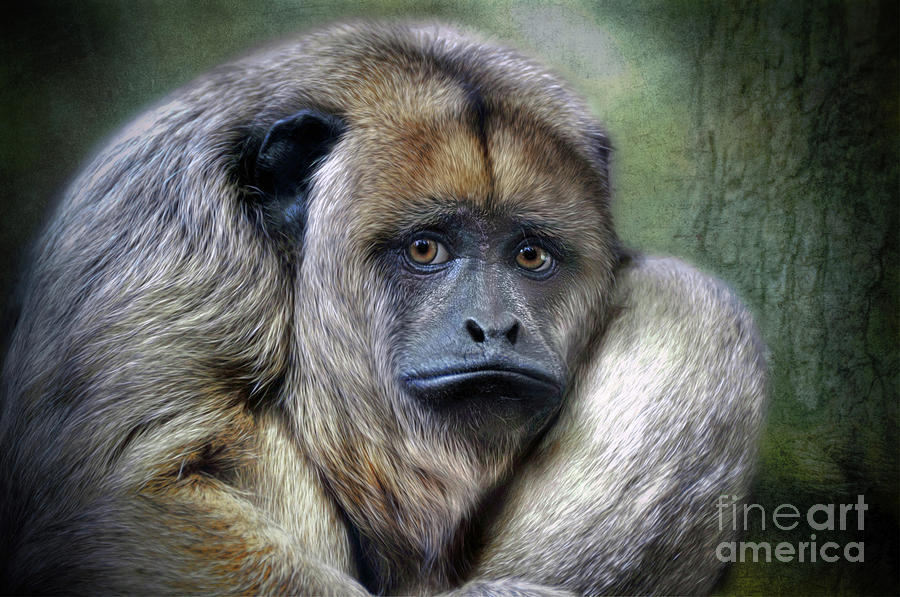 HOWLER Monkey #5 Digital Art by Savannah Gibbs