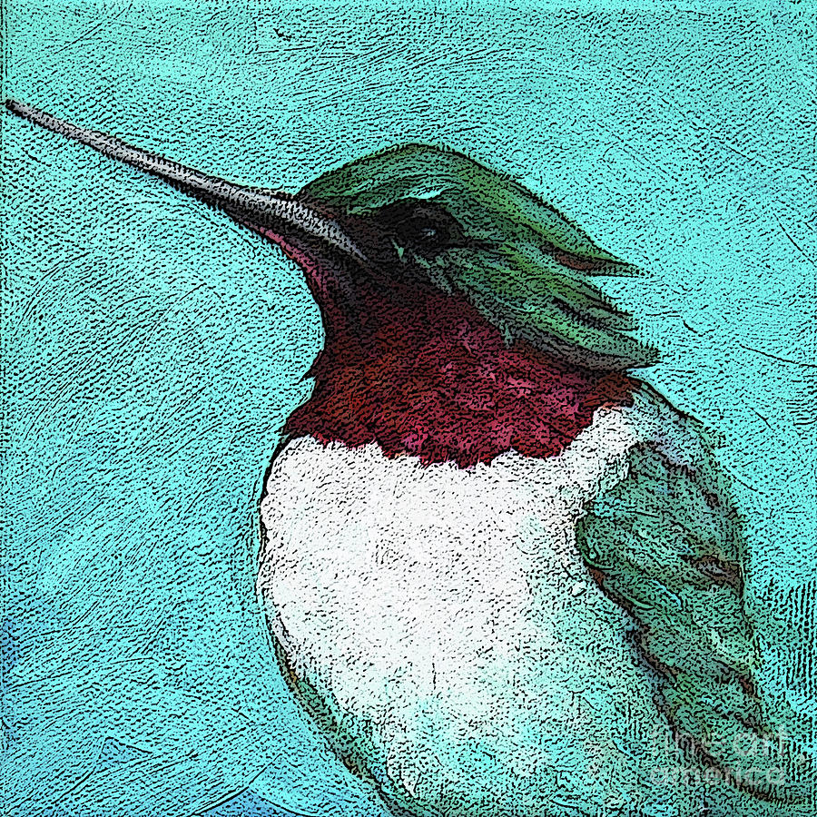 5 Humming Bird Painting by Victoria Page