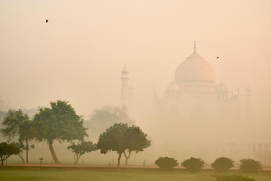 India, Agra, Taj Mahal #5 Photograph by Tuul & Bruno Morandi