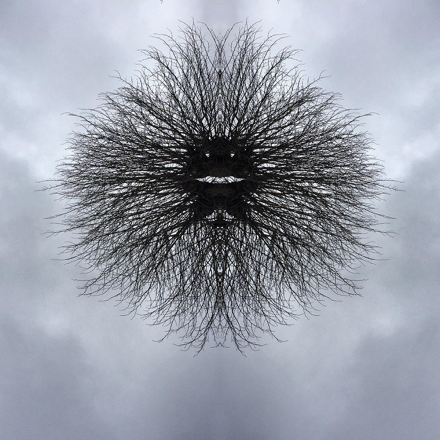 Kaleidoscopic Image of Winter Tree branches #5 Photograph by Mike Hill