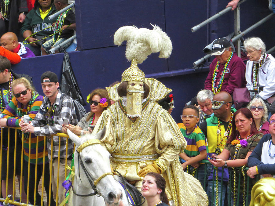 Krewe of Rex Photographs 2020 Mardi Gras King New Orleans Floats