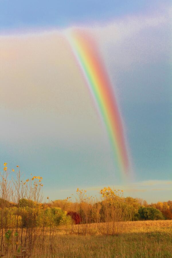 Landscape #5 Photograph by John Walsh Landscape #5 Photograph by John Walsh