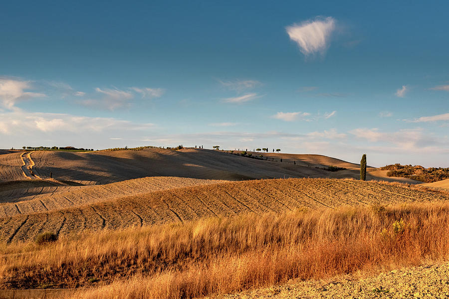 landscape, Tuscany, Italy #5 Photograph by Eleni Kouri