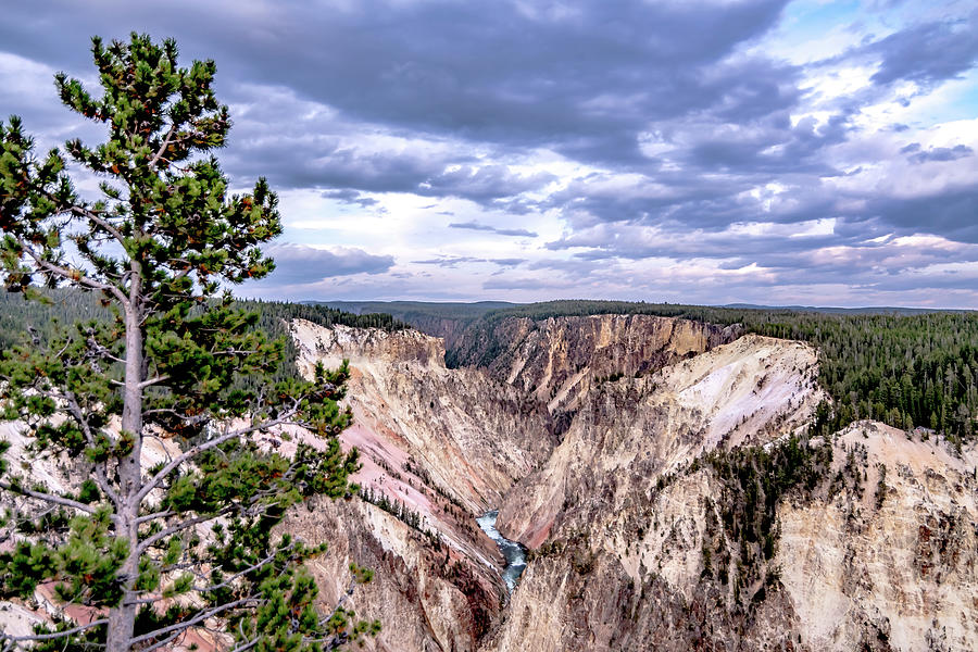 Lower falls of the yellowstone national park from artist point a #5 Photograph by Alex Grichenko