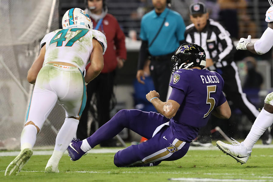 Miami Dolphins v Baltimore Ravens #5 Photograph by Rob Carr