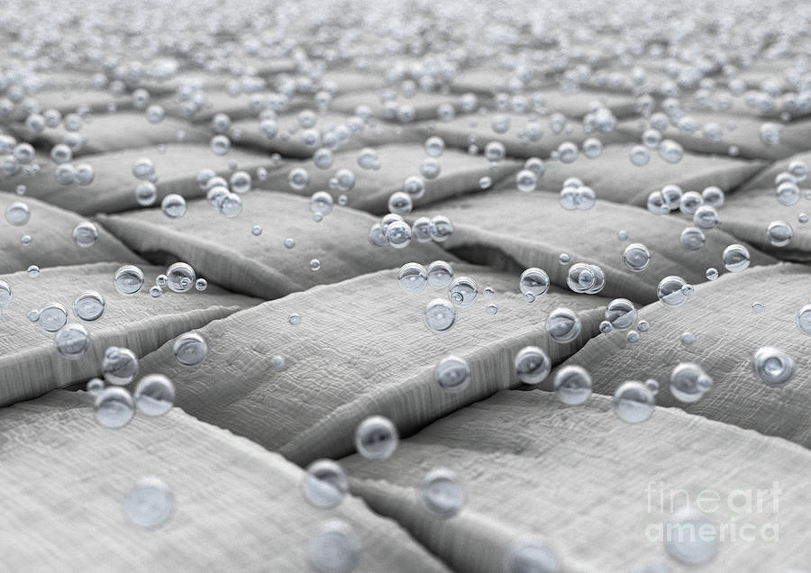 Micro Fabric And Water Droplets Digital Art