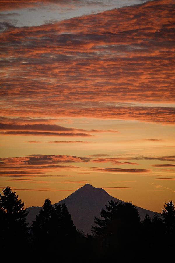 Mount Hood Sunrise #1 Photograph by Nicole Young
