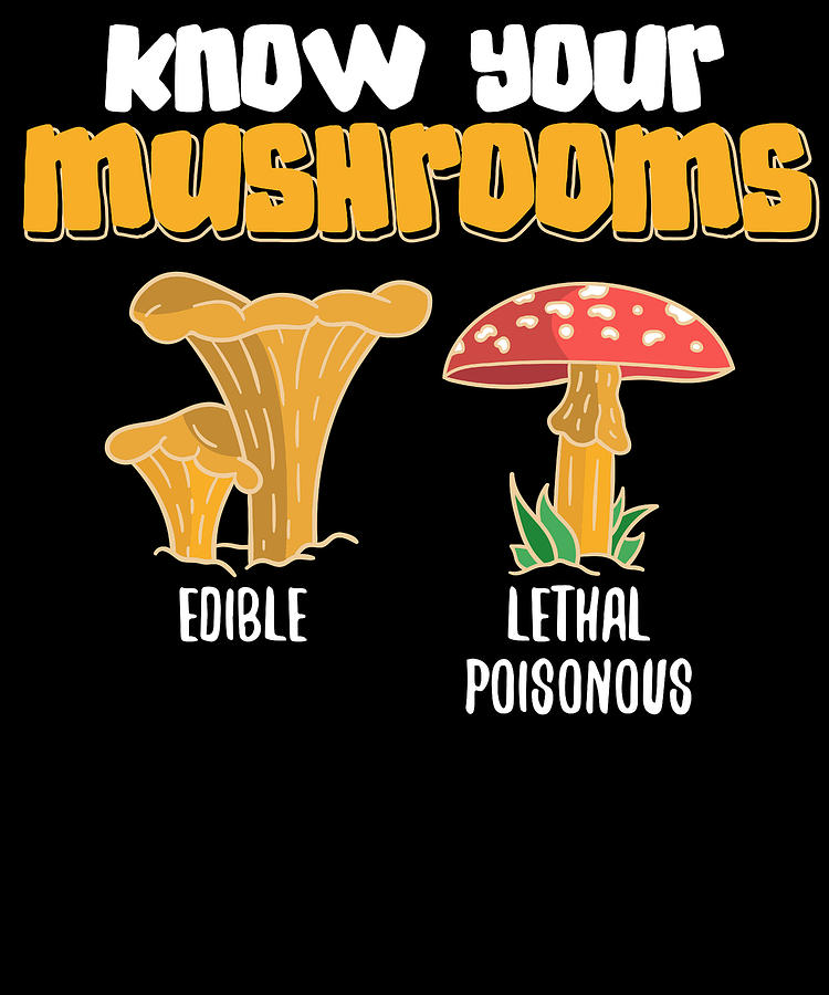 Mushroom Fungi Foraging Mycologist Digital Art by Mercoat UG  Haftungsbeschraenkt - Fine Art America
