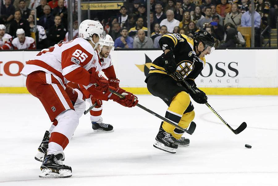NHL: MAR 08 Red Wings at Bruins #5 Photograph by Icon Sportswire